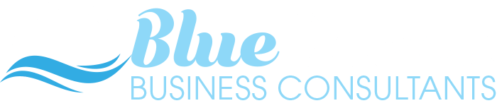 Blue ocean business consultants